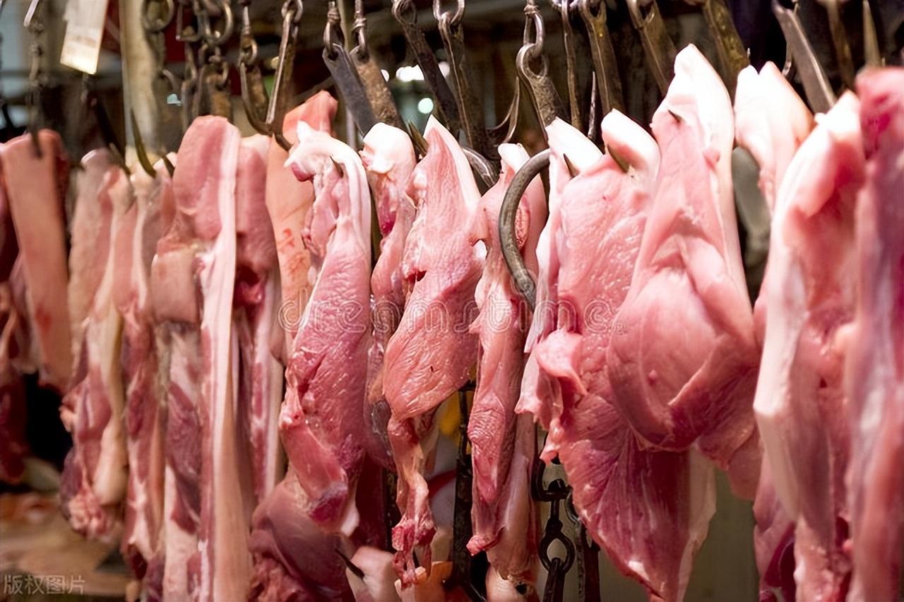 肉赚钱吗_什么肉赚钱_什么肉赚钱