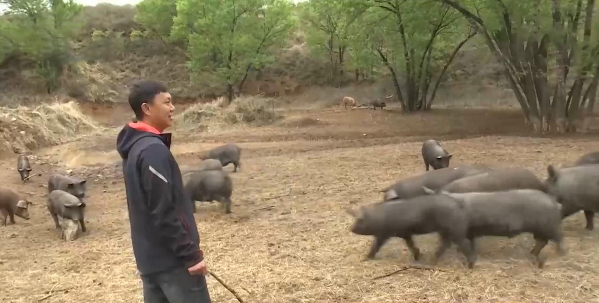 开啥赚钱_开厂什么赚钱_赚钱开店