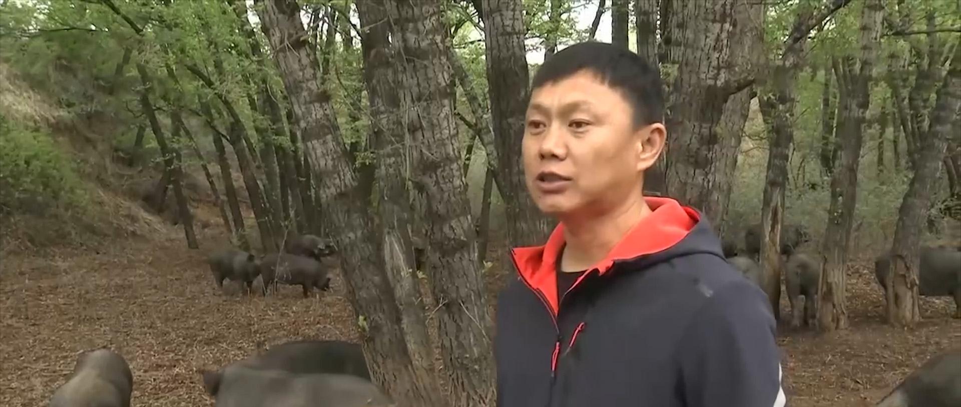 开厂什么赚钱_开啥赚钱_赚钱开店