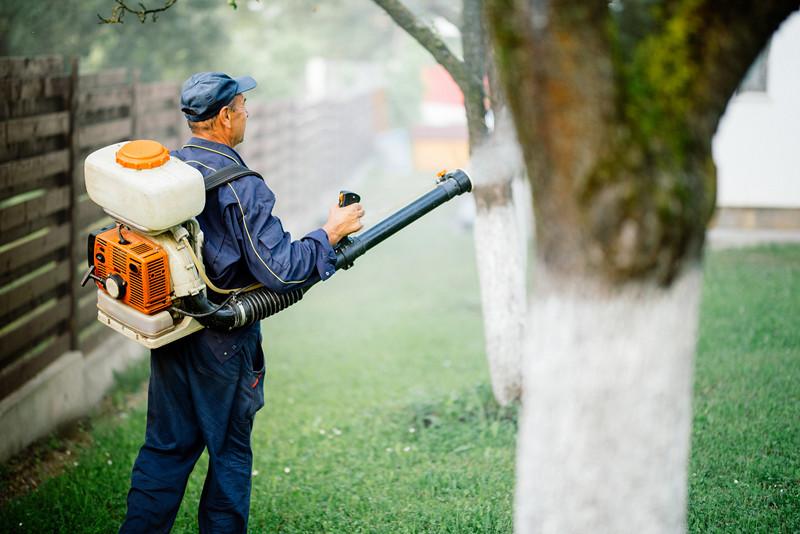 现在赚钱做什么好_当下赚钱_现在做什么赚钱了