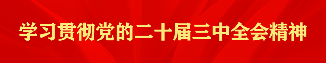 粮油什么赚钱-“油”中生金：伽师县好运气粮油加工厂年赚超200万，绘就幸福新画卷-优创圈