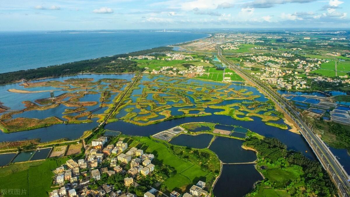 什么稀奇赚钱-种植补贴政策：返乡创业，种植什么农作物最赚钱呢？这几种有前景-优创圈
