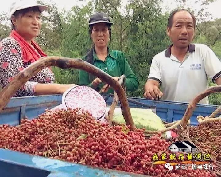 做公路的利润大概有多少_公路边卖什么赚钱_公路怎么赚钱