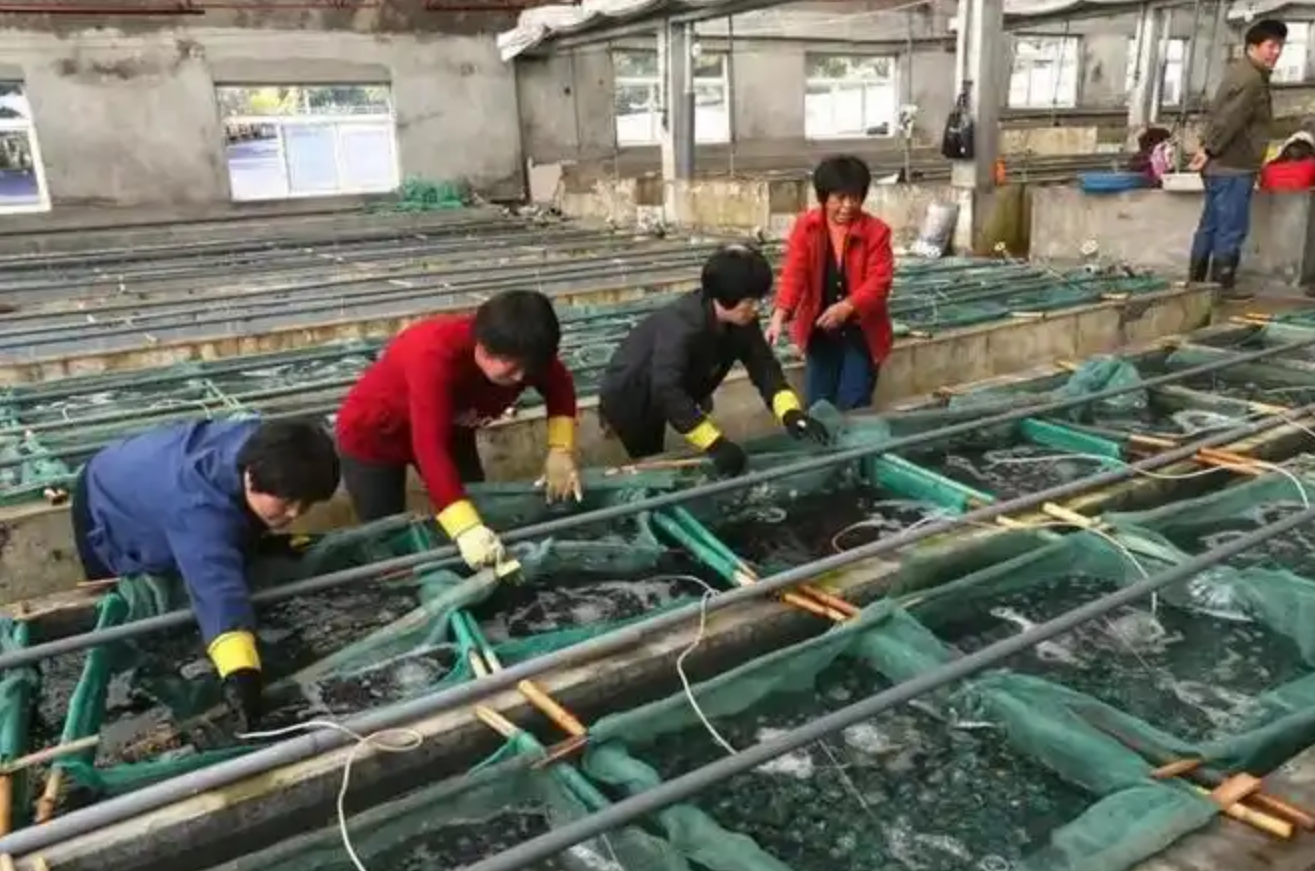 赚供应商的钱_供应什么赚钱_赚供应链的钱