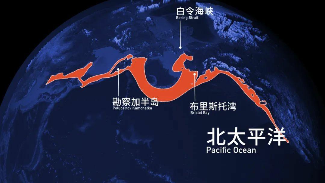 赚供应商的钱_供应什么赚钱_赚供应链的钱