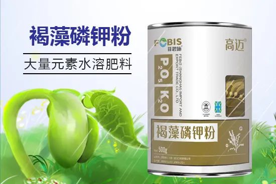溶解工是做什么的_溶解什么赚钱_溶解啥意思