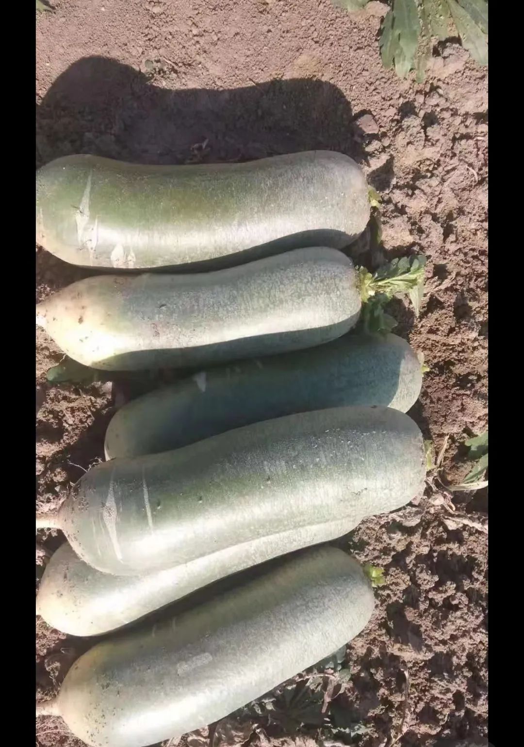 豆赚钱文章赚钱_豆赚钱app官方_赚钱什么豆