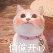 赚钱网是真的吗_赚钱信息网_什么网铺赚钱