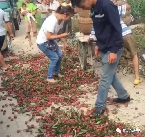 赚钱网是真的吗_什么网铺赚钱_赚钱信息网