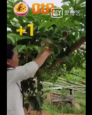 赚钱信息网_什么网铺赚钱_赚钱网是真的吗