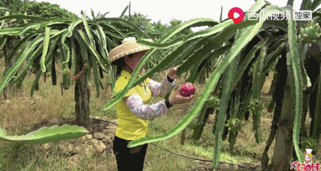 赚钱信息网_什么网铺赚钱_赚钱网是真的吗