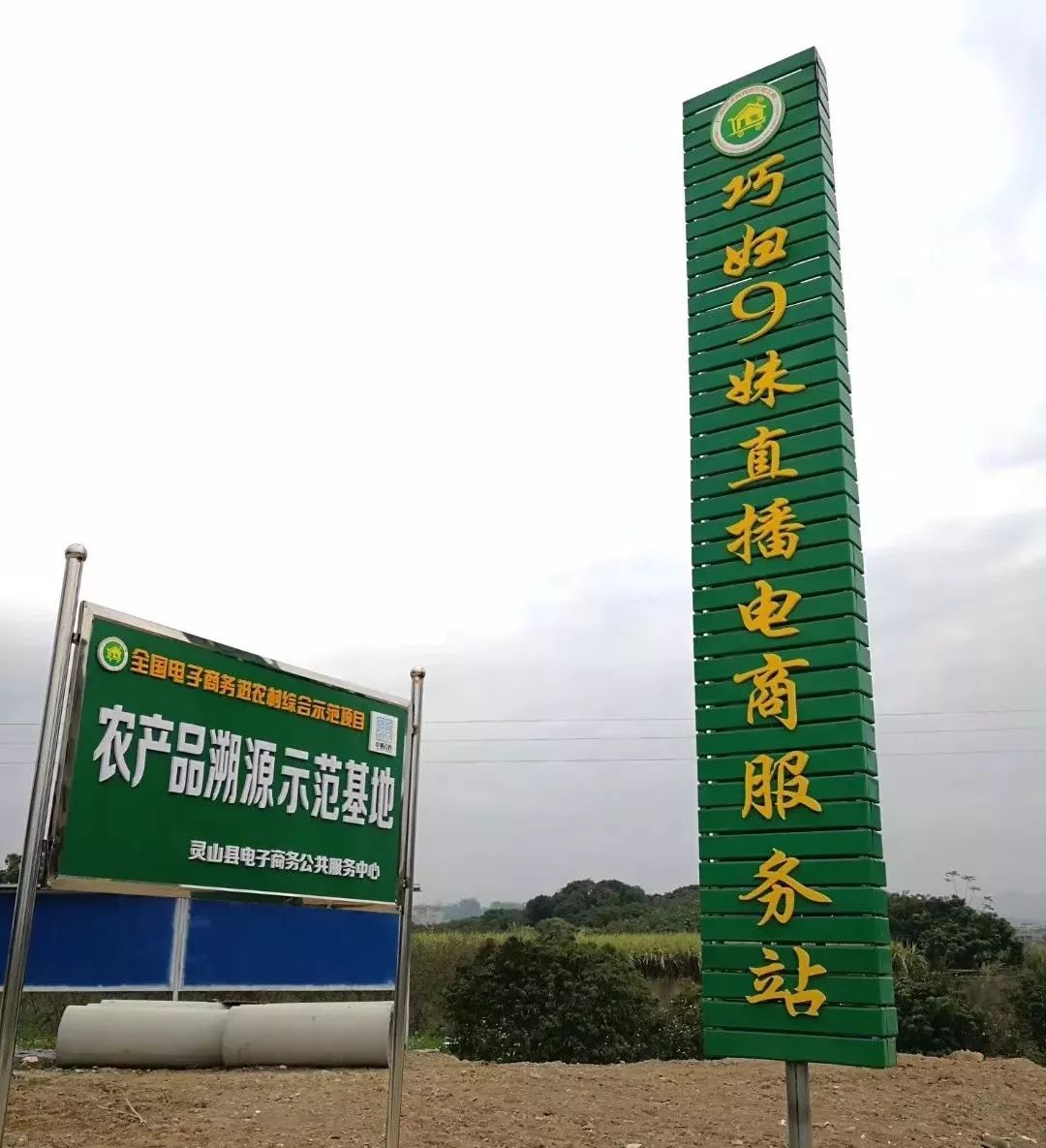 赚钱网是真的吗_什么网铺赚钱_赚钱信息网
