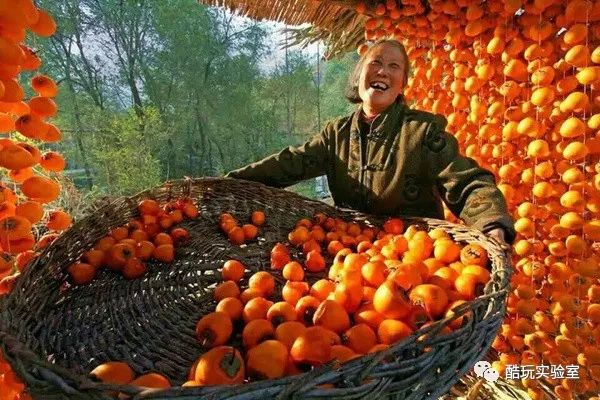 赚钱信息网_赚钱网是真的吗_什么网铺赚钱