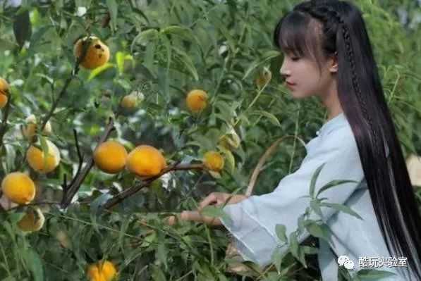 赚钱网是真的吗_赚钱信息网_什么网铺赚钱