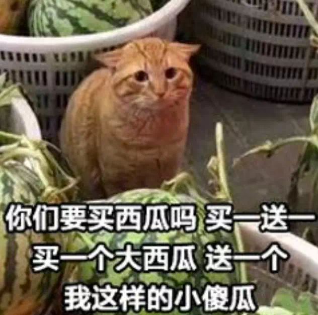 赚钱信息网_什么网铺赚钱_赚钱网是真的吗
