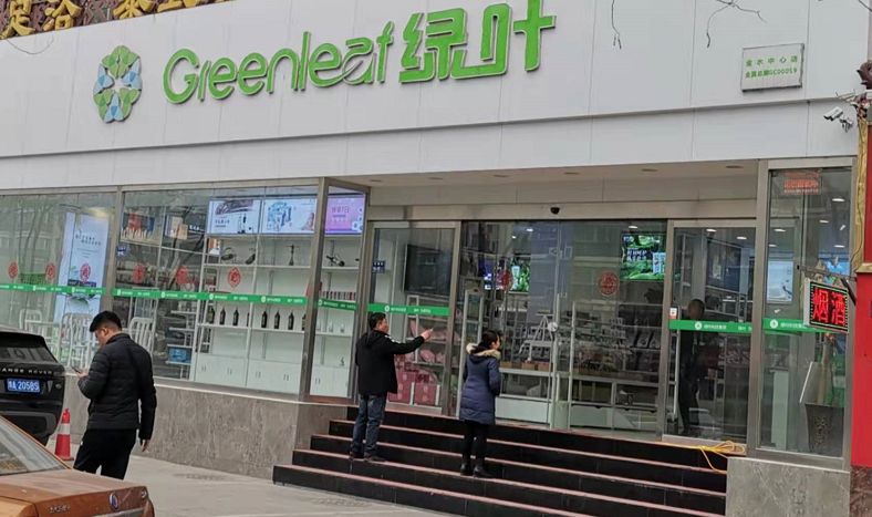 绿叶靠什么赚钱_绿叶平台是不是真的_绿叶怎么赚钱