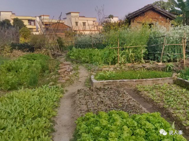 农村干的小本生意_农村什么小生意最赚钱_农村挣钱小生意