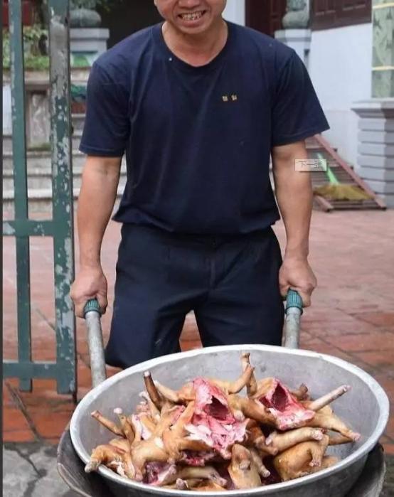 为什么狗赚钱-越南人一年吃掉400万只狗，马路边烤全狗，为何痴迷狗肉？​-优创圈