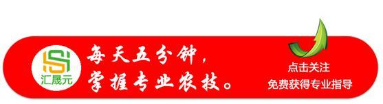 大棚做什么最赚钱 一亩地的蔬菜大棚能有多少利润？农业大棚种植什么最赚钱？-侠客笔记