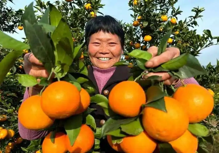 农场种植什么最赚钱_农场种植赚钱小游戏_农场种植什么赚钱