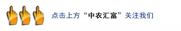 今年种植什么赚钱-北方地区，2020年种植什么最赚钱?一起来看看-优创圈