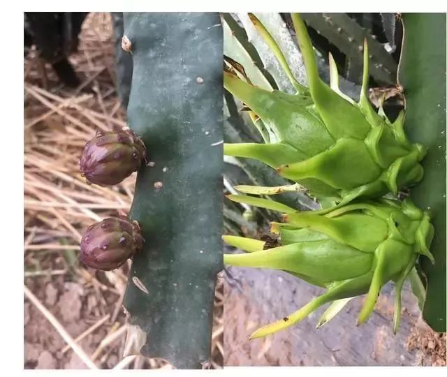 种植业一年能赚多少钱_今年种植什么赚钱_种植赚钱吗