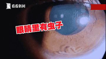 做买卖赚钱了_卖赚钱项目犯法吗_有人卖卖什么赚钱