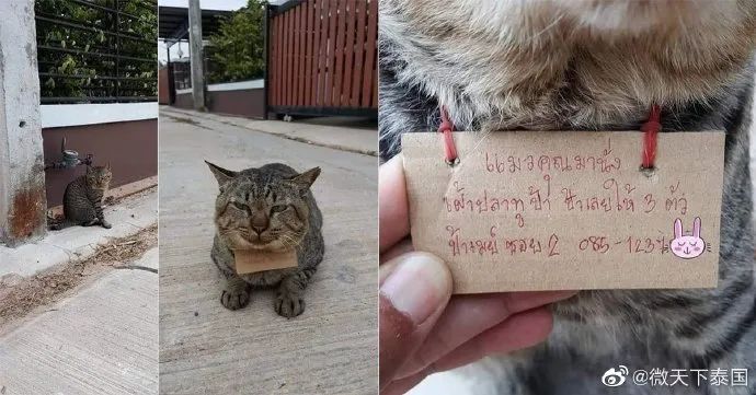 做买卖赚钱了_有人卖卖什么赚钱_卖赚钱项目犯法吗