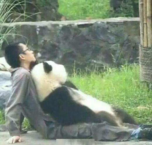 赚钱是什么味_赚钱的嗅觉_赚钱的味道