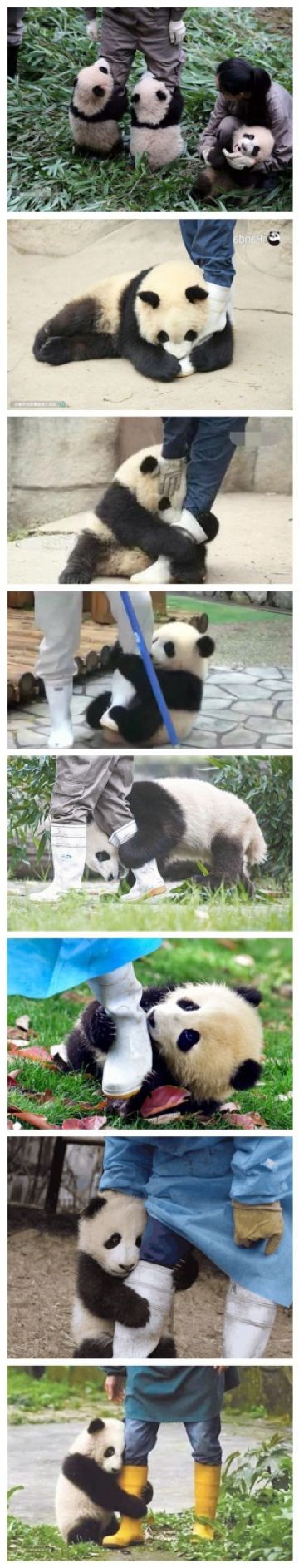 赚钱的嗅觉_赚钱是什么味_赚钱的味道