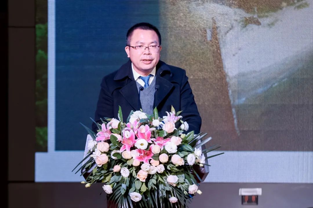 湛江种植什么最赚钱_湛江种植赚钱么_湛江种植什么赚钱