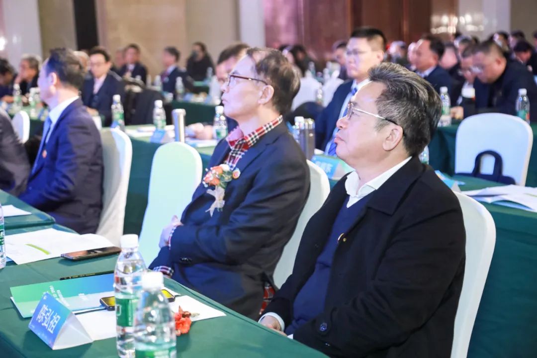 湛江种植什么最赚钱_湛江种植什么赚钱_湛江种植赚钱么
