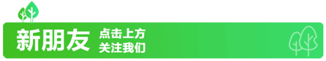 种植什么树苗赚钱-农村种植什么苗木最赚钱？-优创圈