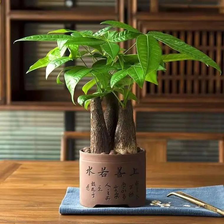 做什么赚钱很快_赚钱做任务的app_赚钱做单
