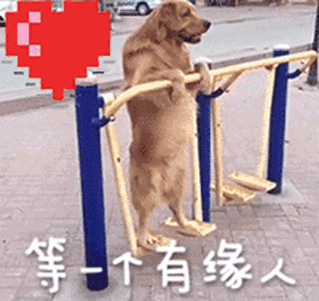 赚钱网络项目是什么_什么网络项目赚钱_挣钱网络项目