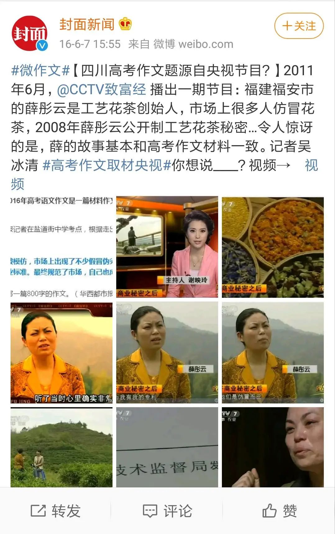 云南腾冲适合种植什么果树_腾冲种植什么赚钱_腾冲最适合种的植物