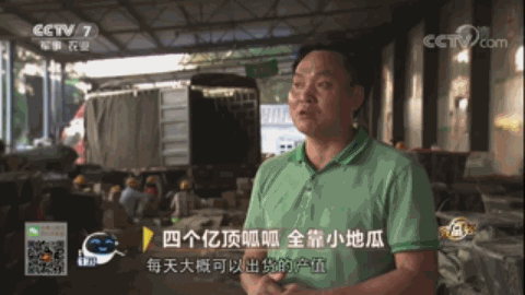 云南腾冲适合种植什么果树_腾冲最适合种的植物_腾冲种植什么赚钱
