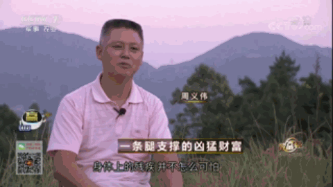 腾冲种植什么赚钱_腾冲最适合种的植物_云南腾冲适合种植什么果树