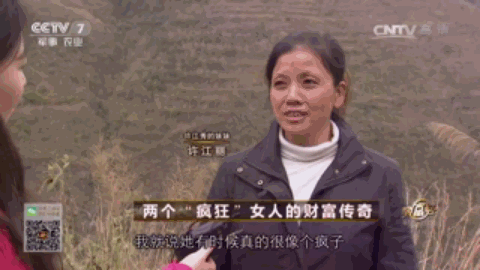 云南腾冲适合种植什么果树_腾冲最适合种的植物_腾冲种植什么赚钱