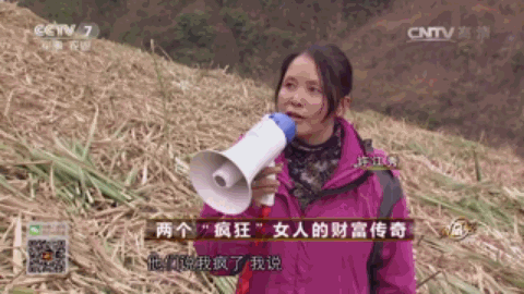 腾冲最适合种的植物_腾冲种植什么赚钱_云南腾冲适合种植什么果树