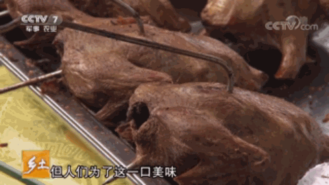 云南腾冲适合种植什么果树_腾冲种植什么赚钱_腾冲最适合种的植物