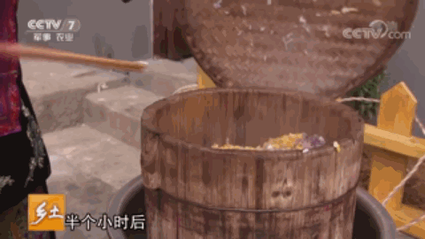 腾冲种植什么赚钱_腾冲最适合种的植物_云南腾冲适合种植什么果树