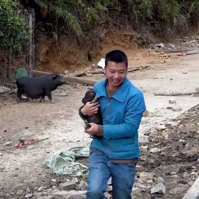 腾冲最适合种的植物_腾冲种植什么赚钱_云南腾冲适合种植什么果树