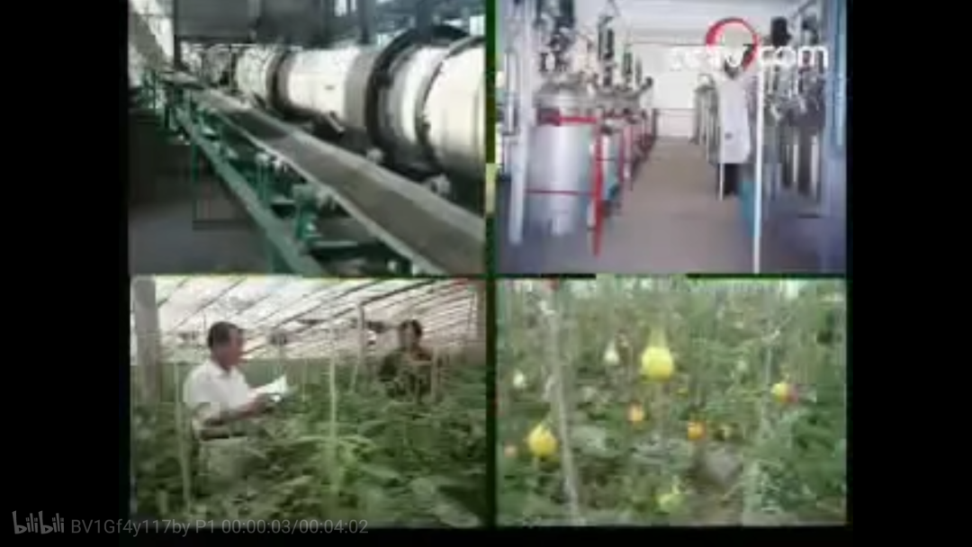 腾冲最适合种的植物_云南腾冲适合种植什么果树_腾冲种植什么赚钱