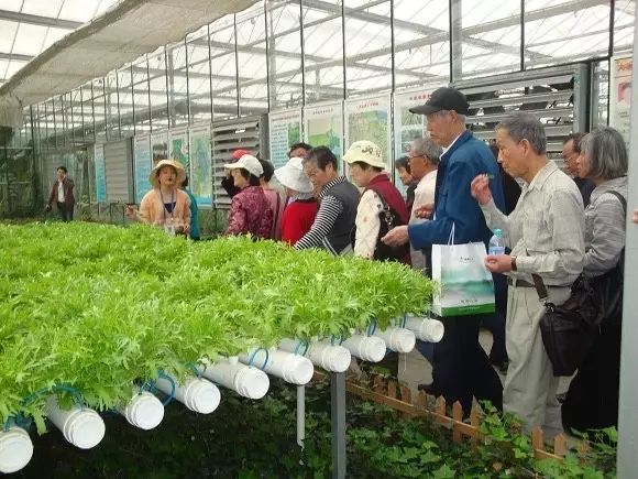 赚钱玩法_赚钱玩小游戏_玩什么最赚钱