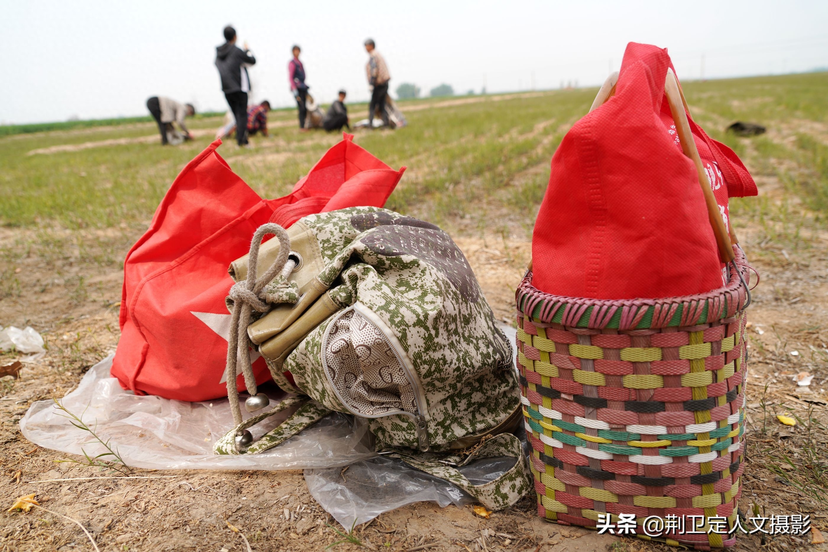 山西农民种植“懒汉草”，亩收入过万元，看看种的啥