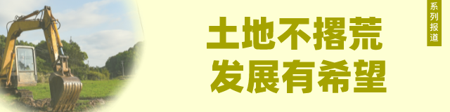 广东梅州种植什么赚钱 复耕复种“新”力量|梅州广泛发动民营经济和新阶层人士参与赋能乡村振兴“复耕一亩地”主题活动-侠客笔记