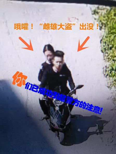 广西养什么赚钱_广西养殖业什么最赚钱农村_在广西养什么东西赚钱快一点