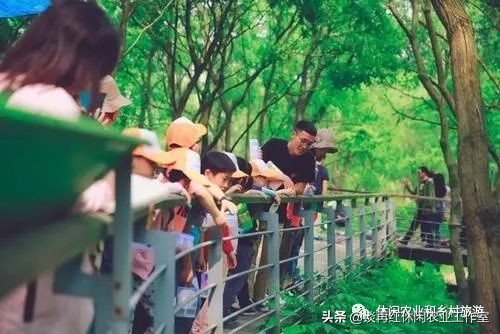过后疫情赚钱做什么行业_过后疫情赚钱做什么_疫情过后做什么赚钱