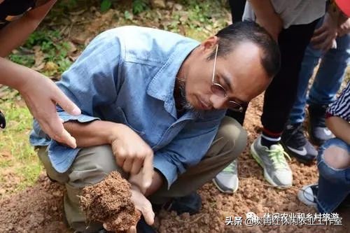 过后疫情赚钱做什么行业_过后疫情赚钱做什么_疫情过后做什么赚钱